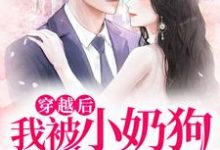 穿越后，我被小奶狗缠上了小说的免费电子版在哪里可以下载或阅读？-侠客文学