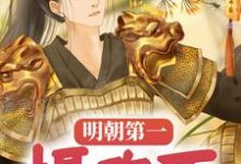 完整版的明朝第一摄政王小说在哪里可以免费读到？-侠客文学