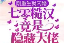 主角叫迟穗季元初小说刚重生就闪婚，七零糙汉竟是隐藏大佬章节免费阅读-侠客文学
