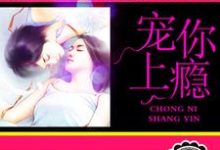 宠你上瘾这本小说在哪里可以看？哪里有免费试读章节？-侠客文学