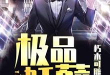 小说《极品妖孽》章节免费阅读-侠客文学