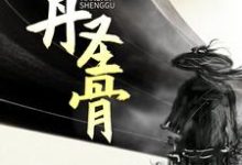 天丹圣骨小说，天丹圣骨最新章节-侠客文学