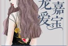 宠爱嘉宝宋嘉宝肖辰龙小说在线章节目录阅读最新章节-侠客文学