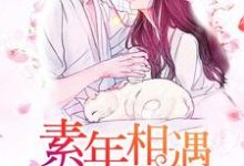 小说《素年相遇的我们》章节阅读-侠客文学