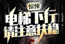 惊悚：电梯下行，请注意扶稳小说全文阅读需要付费吗？寻找免费资源-侠客文学