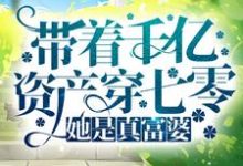 已完结小说《带着千亿资产穿七零,她是真富婆》最新章节-侠客文学