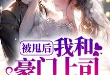 已完结小说《被甩后，我和豪门上司闪婚了》章节在线阅读-侠客文学