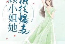 寻找能够免费阅读顾小姐她演技爆表小说的平台-侠客文学