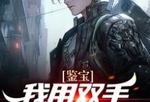 鉴宝：我用双手称霸学术界最新章节，鉴宝：我用双手称霸学术界免费阅读-侠客文学