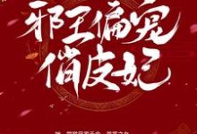 邪王偏宠俏皮妃小说的无弹窗阅读体验，寻找免费阅读网站-侠客文学