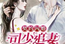 契约闪婚：司少追妻火葬场司墨离凉念禾，契约闪婚：司少追妻火葬场小说免费阅读-侠客文学