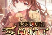 在线搜索慕清清季言川的完整小说，免费阅读虐死夫人后，季总疯了-侠客文学