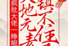 寻找疯批大佬一睁眼，天地元素镇不住了小说的最新更新章节-侠客文学