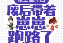 搬空国库后,废后带着崽崽跑路了!小说最新章节在哪里可以读到?-侠客文学