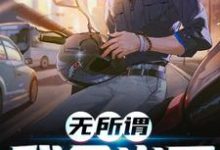 完结版《无所谓，我会出手》章节目录在线阅读-侠客文学