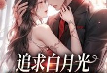 小说《追求白月光,总裁追妻路漫漫》在线章节阅读-侠客文学