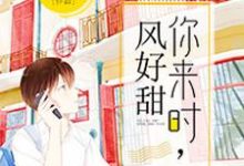 主角叫林舒沈遇书何小叶江耀的小说在哪阅读-侠客文学