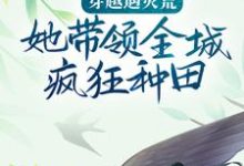 哪里能找到穿越遇灾荒,她带领全城疯狂种田小说的最新更新和免费章节?-侠客文学