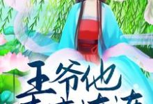 小说《迎娶小福妻后，王爷他喜事连连》章节免费阅读-侠客文学