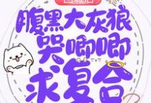 求回城后,腹黑大灰狼哭唧唧求复合小说的全文免费阅读链接-侠客文学