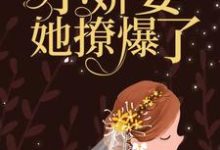 舒念微封南修为主角的小说好看吗？免费读受不了！小娇妻她撩爆了-侠客文学