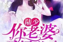 陆少,你老婆又绿你了小说的无弹窗阅读体验,寻找免费阅读网站-侠客文学