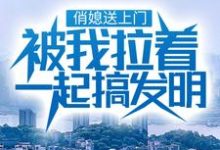 俏媳送上门,被我拉着一起搞发明叶牧陈苏苏小说在线章节免费阅读-侠客文学