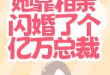 天！她靠相亲闪婚了个亿万总裁？主角 唐婉宋既明小说完结版章节在线阅读-侠客文学