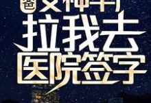 奶爸：女神早产，拉我去医院签字？小说无弹窗阅读的网站推荐-侠客文学