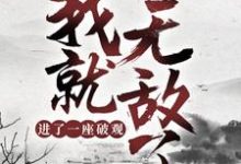 进了一座破观，我就无敌了？小说，进了一座破观，我就无敌了？东阳姬无瑕-侠客文学