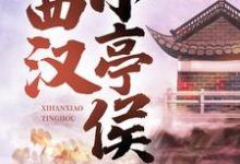 《西汉小亭侯》全集免费在线阅读（赵启明解忧静安公主）-侠客文学