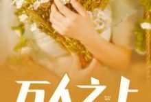 主人公叶宁林语晗小说万人之上在线章节阅读-侠客文学