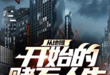 求从地摊开始的赌石人生小说免费资源-侠客文学