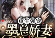 重生强宠,墨总娇妻飒爆了唐汐墨沉宴小说免费阅读-侠客文学