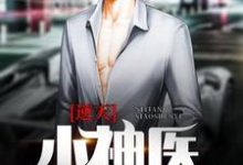 哪里能找到逆天小神医小说的全部章节？-侠客文学