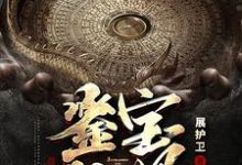 沈凡徐菲儿小说叫什么(鉴宝神眼免费阅读)-侠客文学