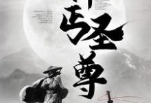 神丐圣尊白无夜司徒婉儿小说大结局免费试读-侠客文学