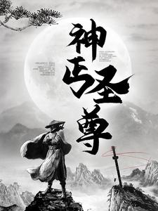 神丐圣尊白无夜司徒婉儿小说大结局免费试读