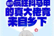 震惊！疯狂抖马甲的真大佬竟来自乡下小说的无弹窗阅读体验，寻找免费阅读网站-侠客文学