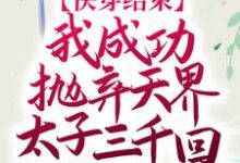 已完结小说《快穿结束,我成功抛弃天界太子三千回》章节免费阅读-侠客文学