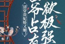 清穿贵妃娇又媚!四爷占有欲极强小说的无弹窗阅读体验,寻找免费阅读网站-侠客文学