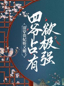 清穿贵妃娇又媚！四爷占有欲极强小说的无弹窗阅读体验，寻找免费阅读网站