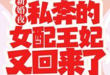 新婚夜，私奔的女配王妃又回来了主角白娇娇小说完结版章节在线阅读-侠客文学