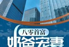 主人公叫周晓治艾雨蓝的小说八零首富：奶爸宠妻带娃记在线阅读章节-侠客文学