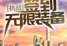 已完结小说《抗战：签到无限装备！》章节在线阅读-侠客文学