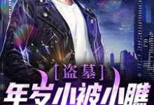 主角叫苏洛小说盗墓：年岁小被小瞧？让你大开眼界！章节免费阅读-侠客文学