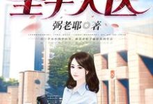 完结版《都市圣手天医》章节阅读-侠客文学