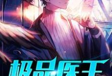 极品医王沈炼江小雪,极品医王小说免费阅读-侠客文学