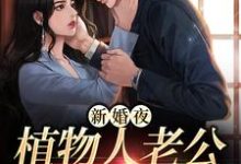 在线搜索厉晏城姜妍的完整小说,免费阅读新婚夜,植物人老公突然亲我-侠客文学