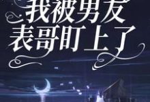 因为彩礼，我被男友表哥盯上了小说有没有完整的免费版本在线阅读？-侠客文学